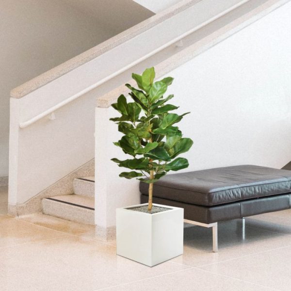 Lyrata Royal kunstplant 90 cm 5