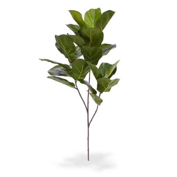 Met deze hoogkwalitatieve en levensechte kunst Lyrata Royal tak deluxe kunt u uw fantasie grenzeloos de vrije loop laten. Wat dacht u van een sfeervolle afscheiding gemaakt met meerdere Lyrata's op uw kantoor of gaat u voor een creatief samengesteld arrangement als blikvanger in uw horeca? Deze Lyrata Royal deluxe kunsttak behoort tot ons hoogste segment producten en dat merkt u. Van de stevige en buigzame constructie tot aan de ragfijne en zeer gelijkende bladeren die zelfs aan de onderkant met een nerf zijn voorzien. Dit is de perfecte basis voor vele mogelijkheden en uitvoeringen. De subtiel nagemaakte kunstlyrata Royal tak deluxe heeft een lengte van ongeveer 70 cm en een breedte van ongeveer 30 cm.