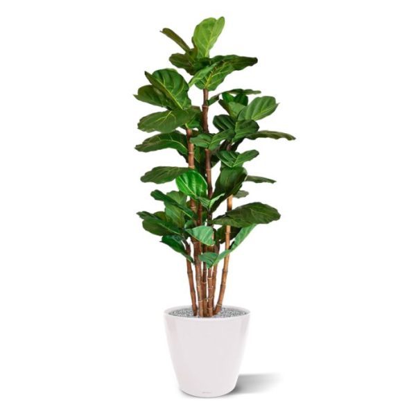 Lyrata deluxe kunstboom 165 cm 1