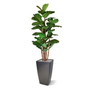 Nieuw - Lyrata deluxe kunstboom 165 cm