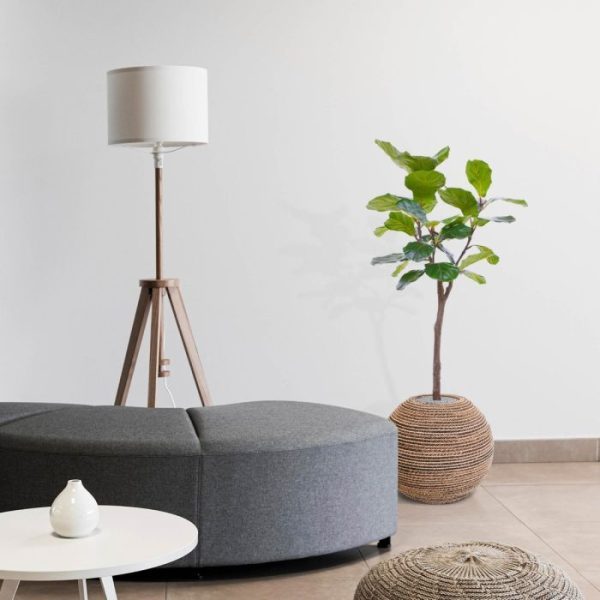 maar dit type te groot? De boom is ook verkrijgbaar in andere modellen. Zo is er ook een Lyrata kunstplant van 60 cm hoog en 30 cm hoog.