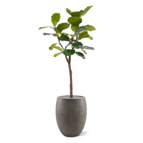 Lyrata kunstboom op stam 120 cm 8