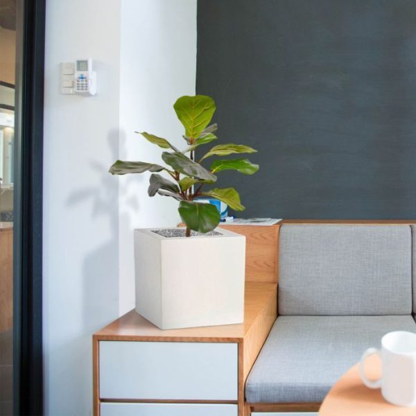 Lyrata kunstplant 60 cm in pot 5