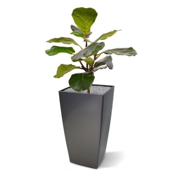 Lyrata kunstplant 60 cm in pot 8