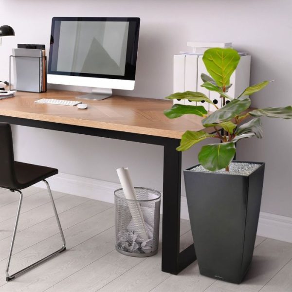 Lyrata kunstplant 60 cm in pot 9