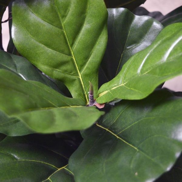 Lyrata kunstplant 95 cm 5