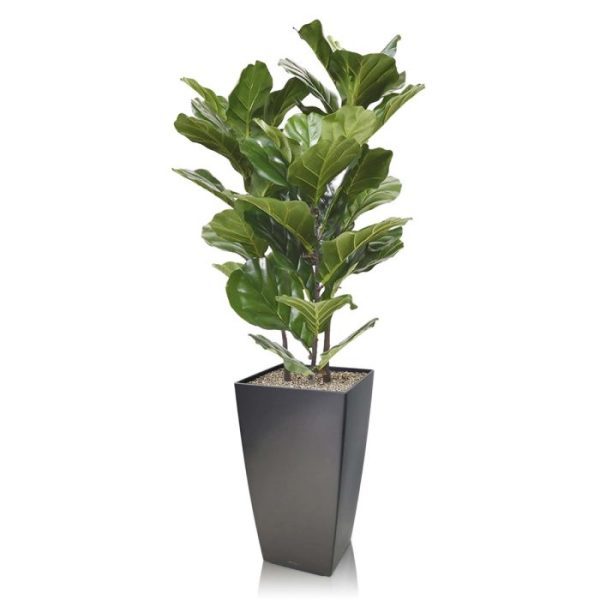 Lyrata kunstplant 95 cm 9