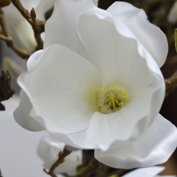 Magnolia-kunsttak-100-cm-creme-3 welke net als de echte