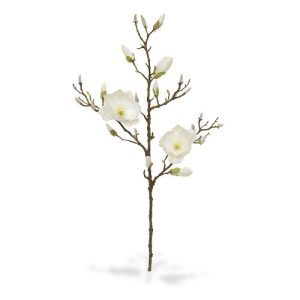 Een bijzonder hoog decoratief gehalte heeft deze kunst Magnolia Tak 100 cm crème.   De kunsttak is zeer goed nagemaakt met verschillende zijtakken