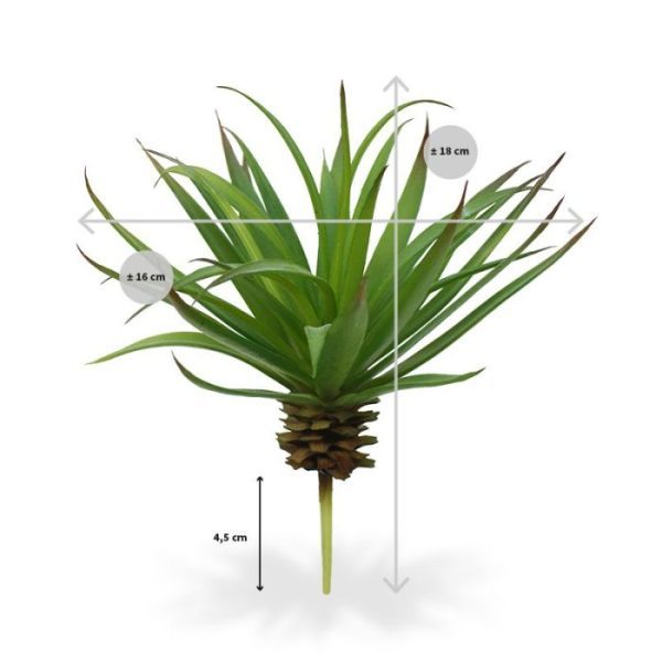 een lengte van ongeveer 18 cm. De breedte is ongeveer 16 cm. Standaard wordt deze goed nagemaakte kunstplant geleverd als steker
