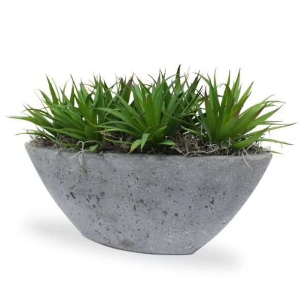 Een mooie aanvulling in een vetplanten arrangement is dit groene Marginata kunstboeket 18 cm uit de Draceana familie. Het kunstboeket is opgebouwd uit vele smalle bladeren van kunststof en heeft een volle uitstraling. Extra aandacht is uitgegaan naar de bladpunt met rode accenten maar vooral ook naar de stam. De kunststof Marginata heeft