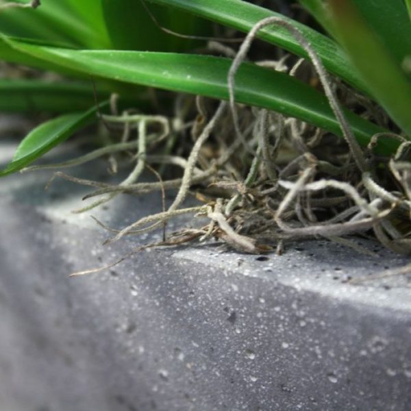 Marginata Mini kunstboeket 18 cm 7