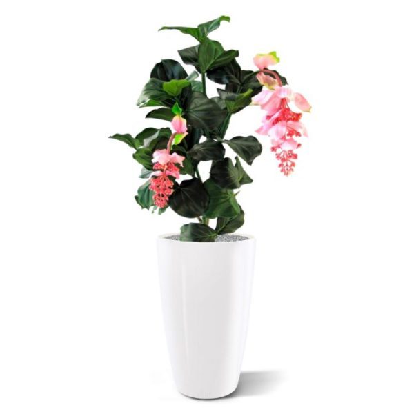 Bloeiende kunstplanten Medinella kunstplant deluxe 90 cm 2