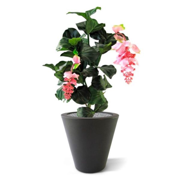 Medinella-kunstplant-deluxe-90-cm-3 Medinella kunstplant deluxe 90 cm 3