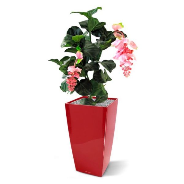 Medinella-kunstplant-deluxe-90-cm-4 Medinella kunstplant deluxe 90 cm 4