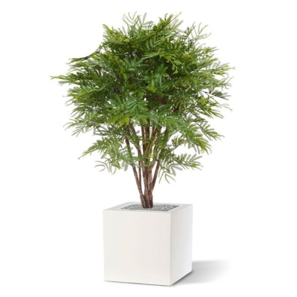Kunstplanten voor buiten zijn enkele bladeren een beetje gekruld. De totale hoogte van de uv-bestendige kunstmimosa is 110 cm inclusief pot en wordt geleverd in een kweekpot van 15 cm met vast verlijmde kunststofvulling. Hiermee kunt u de kunstplant Mimosa eenvoudig in een sierpot plaatsen.