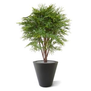 Genieten van een unieke en zeer natuurgetrouwe Mimosa kunstplant 110 cm UV voor buiten? Haal uw eigen kruidje-roer-mij-niet in uw tuin en trakteer uw bezoekers op een bijzondere en zonlichtbestendige plant die niet van echt te onderscheiden valt. Dankzij de speciale behandeling van de kunststof bladeren is deze plant uit de vlinderbloemfamilie waarvan het Kruidje roer mij niet de bekendste soort is