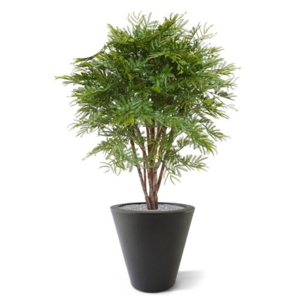 Mimosa kunstplant 110 cm UV Genieten van een unieke en zeer natuurgetrouwe Mimosa kunstplant 110 cm UV voor buiten? Haal uw eigen kruidje-roer-mij-niet in uw tuin en trakteer uw bezoekers op een bijzondere en zonlichtbestendige plant die niet van echt te onderscheiden valt. Dankzij de speciale behandeling van de kunststof bladeren is deze plant uit de vlinderbloemfamilie waarvan het Kruidje roer mij niet de bekendste soort is