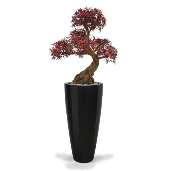 Deze kunststof Ming Aralia Bonsai Burgundy 90 cm is een geweldige decoratie voor binnen. Vooral als u een Oosterse sfeer wilt creëren! De kunst Bonsai is opgebouwd uit wel 5 verschillende bladkronen van hoogwaardige kunststof Aralia blaadjes. De gecombineerde Polystone stronk en echt houten takken maakt deze Ming Aralia Bonsai extra bijzonder. Een must have voor de echte Bonsai liefhebber! De totale hoogte van de kunst Bonsai is ongeveer 90 cm en de diameter ligt tussen de 60 en 75 cm. Deze kunstbonsai wordt geleverd zonder pot