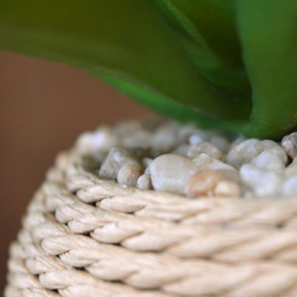 voorzien van verlijmde steentjes