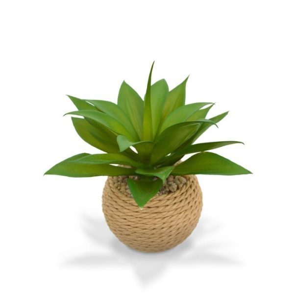 zodat deze gemakkelijk op tafel te plaatsen zijn. Perfect voor de horeca!   Met deze kunstplant creëert u in een handomdraai een tropische 'look' voor u gasten.   De diameter van de kunst Agave is circa 12-14 cm en de totale hoogte