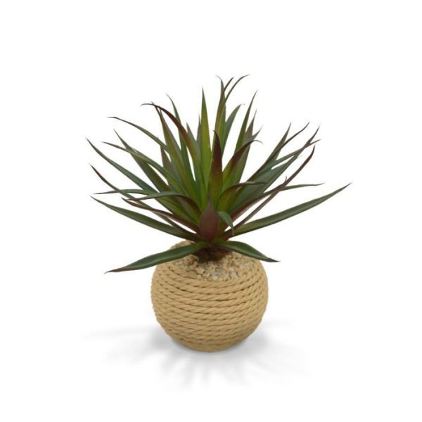 Kunstplanten afkomstig uit de Draceana familie. Extra aandacht is uitgegaan naar de verschillende bladkleuren maar vooral ook naar de stam. Deze kunstplant wordt standaard geleverd in een 8 cm touw potje