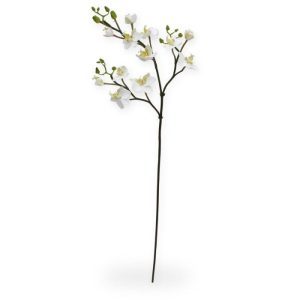 Deze mooi nagemaakte kunstbloem is een kopie van de best verkochte Orchidee van Nederland: De Phalaenopsis Orchidee! Onze kunst Mini Phalaenopsis Tak x3 60 cm wit is zeer gedetailleerd nagemaakt met verscheidene zijtakken