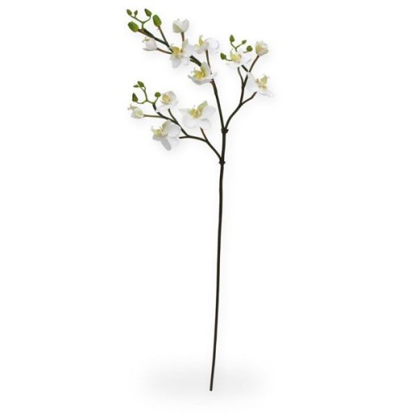 Mini Phalaenopsis kunsttak 60 cm wit Deze mooi nagemaakte kunstbloem is een kopie van de best verkochte Orchidee van Nederland: De Phalaenopsis Orchidee! Onze kunst Mini Phalaenopsis Tak x3 60 cm wit is zeer gedetailleerd nagemaakt met verscheidene zijtakken