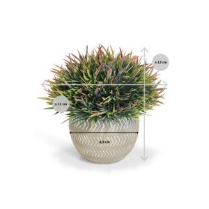 Deze mini bamboegrasplant in groene kleur van 13 cm hoogte in leuk potje is overal veelzijdig in te zetten. Hoewel het formaat klein en bescheiden is
