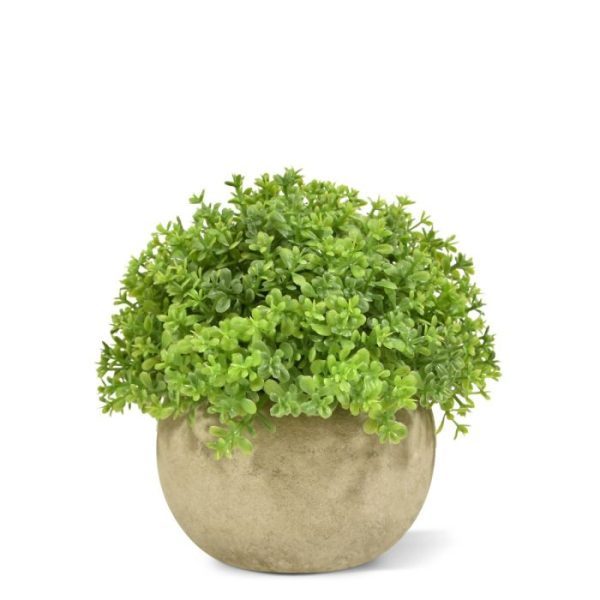 Mini-kunst-Buxus-14-cm-groen-in-potje-5 Mini kunst Buxus 14 cm groen in potje 5