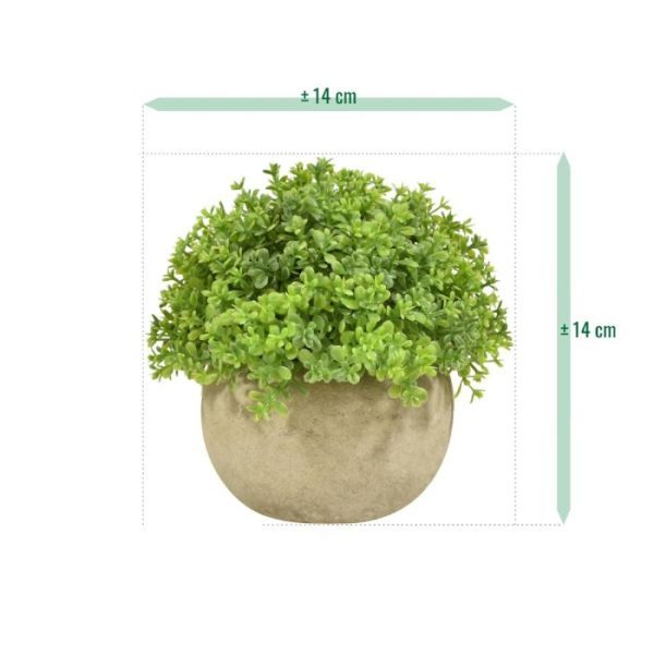 Mini kunst Buxus 14 cm groen in potje Deze mini kunstplant Buxus in groene kleur van 13 cm hoogte in leuk potje is te leuk om niet op tafel te zetten. Hoewel het formaat klein en bescheiden is