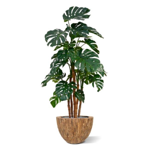 Kunstbomen ook wel gatenplant genoemd