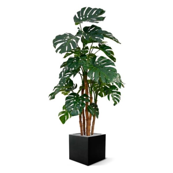 Groene kunstbomen zal zich perfect thuisvoelen in een luxe interieur of kantoor. De schitterende donkergroene