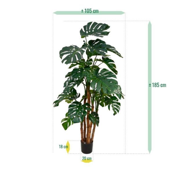 Monstera-Deluxe-x5-180-cm-kunstplant-5 waardoor de plant zeer volumeneus toont. De 5 robuste stammen zijn van echt hout. De diameter van de Monstera Deluxe bedraagt zo'n 105 cm en de hoogte is ruim 180 cm. Door zijn imposante uitstraling is deze kunstplant bijzonder geschikt om in een zowel hoge als lage pot te plaatsen. De plant wordt standaard in een plastic pot geleverd