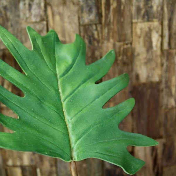 Kunstbloemen de breedte is 14 cm. De totale lengte van de kunsttak is ongeveer 41 cm. Vanaf 24 stuks kunt u gebruik maken van de voordeel prijs.