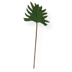 Dit Monstera kunstblad 45 cm wordt veel gebruikt als basis in kunstboeketten. Het zijden Monstera blad heeft een authentieke kleur en een perfect nagemaakte bladnerf. De lengte van het natuurgetrouwe blad is 13 cm