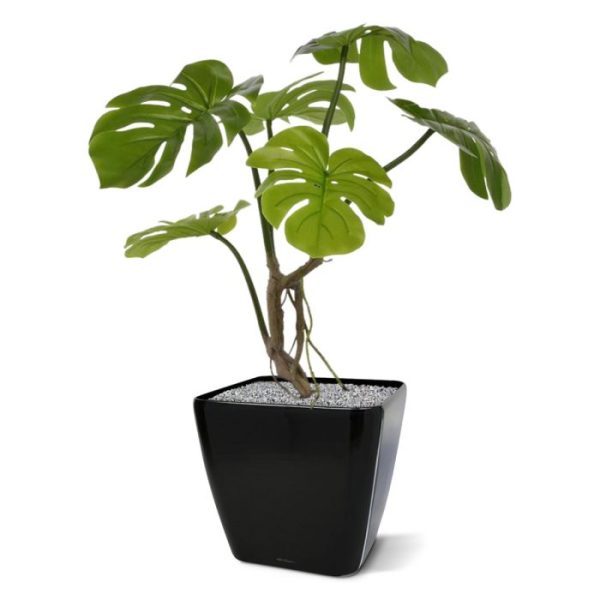 Kunstplanten Monstera kunstplant 50 cm 1