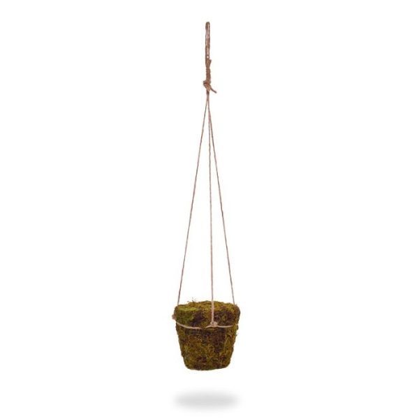 dat zou nog eens de perfecte Urban Jungle sfeer geven! Deze mooie hangpot van 13 cm diameter rondom bekleed met mos biedt u de uitstekende basis om verschillende planten of een enkele plant mee op te steken. Deze zeer natuurlijk ogende hanging basket is vastgemaakt met jute touw voor een natuurlijk effect. Wilt u de mospot gevuld en al bestellen? Dan kunt u de stekers eenvoudig meebestellen. Deze duurzaam en nieuw ontwikkelde mospot is ook verkrijgbaar als hangmand van 10 en 15 cm en als mosbol in een macramé draadmand. De lengte inclusief touw is ongeveer 70 cm.