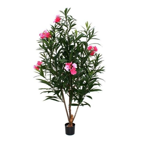 zoals hij in menig tuin is terug te vinden. De kunstzijden Oleander Deluxe heeft een hoogte van ±150 cm en de kleur van de bloemen is cerise-rose. De bladprints van de zien er zeer natuurgetrouw uit en zijn diepgroen.  Standaard wordt deze boom in een plastic pot geleverd.