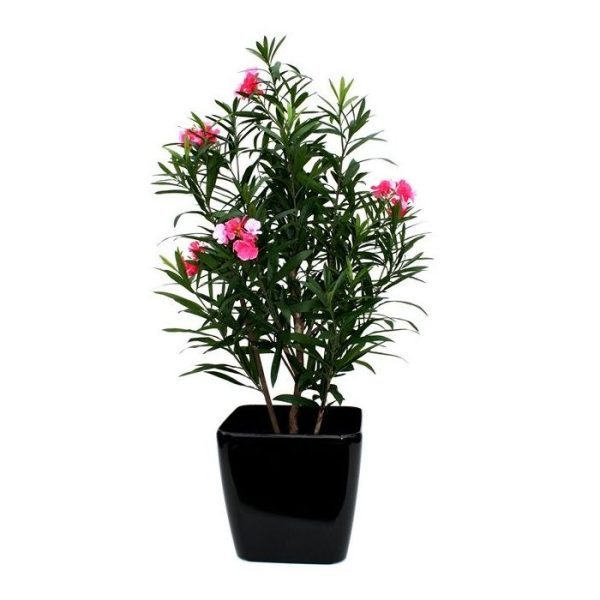 Oleander Kunstplant Deluxe 150 cm rose 4
