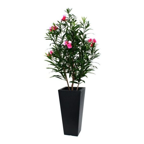 Deze Oleander is een prachtige kopie van het echte exemplaar en ziet er niet alleen natuurgetrouw uit