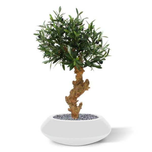 zodat de Bonsai eenvoudig in uw gewenste plantenbak of schaal gezet kan worden. De afgebeelde sierpotten zijn direct mee te bestellen. Exclusief beschikbaar bij Maxifleur Kunstplanten!