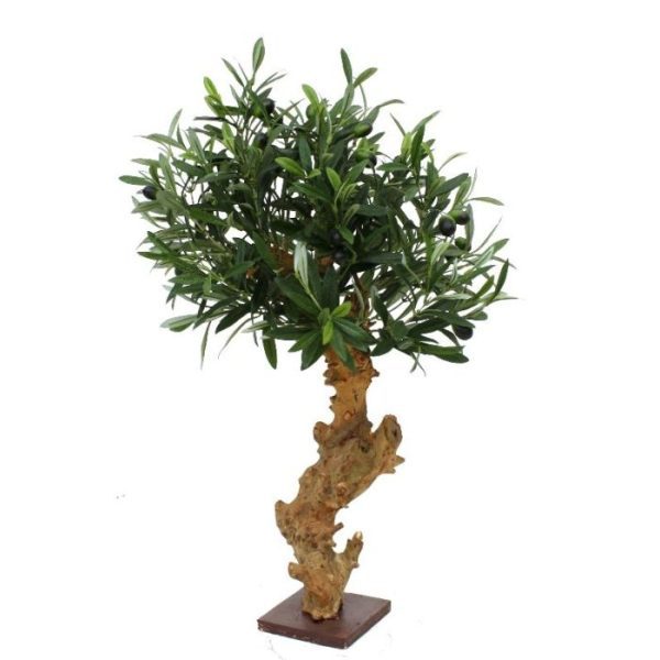 Olijf Bonsai Deluxe 60cm op voet 8