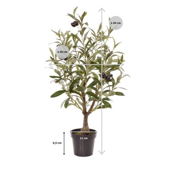 de karakteristieke stamtekening