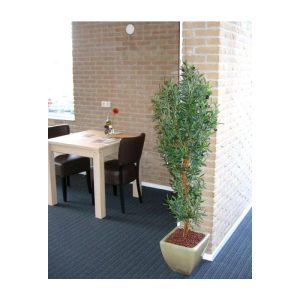 Met deze kunstzijden Olijfboom haalt u de mediteraanse sfeer in een handomdraai in huis.Zowel de blaadjes als de olijven zijn niet van echt te onderscheiden en de boom is opgebouwd op echte houten stammen.De hoogte van de Olijf kunstboom is 150cm. Standaard wordt deze boom in een plastic pot geleverd. De afgebeelde sierpot is tegen meerprijs leverbaar. De Olijfboom Promo is tevens leverbaar in de maten 120cm en 180cm.