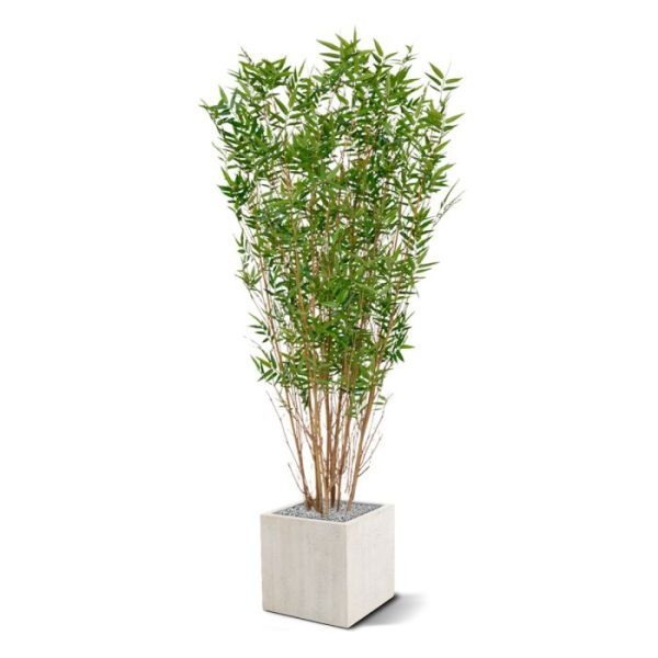 Groene kunstbomen geschikt voor vele ruimtes.