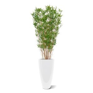 De Oriental Bamboe is de verfijnde kunstplant voor zowel thuis als op kantoor! Deze Oriental Bamboe kenmerkt zich ten opzichte van andere bamboe's doordat de blaadjes kleiner zijn en bijna direct uit de stam groeien. Ook bevat de Oriental Bamboe meer echte