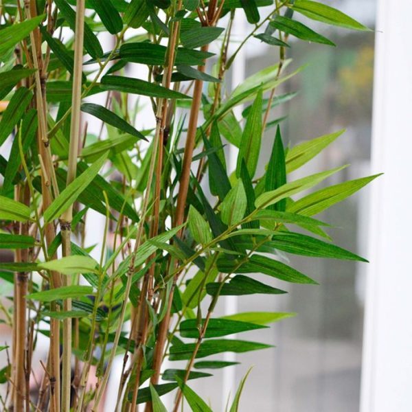 Oriental-Bamboe-kunstboom-160-cm-4 Oriental Bamboe kunstboom 160 cm 4