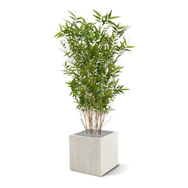 Oriental Bamboe kunstplant 100 cm 2