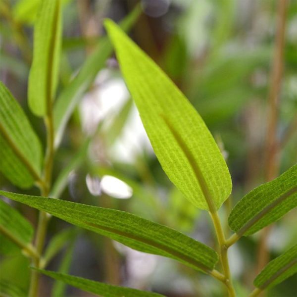 Oriental Bamboe kunstplant 100 cm 4